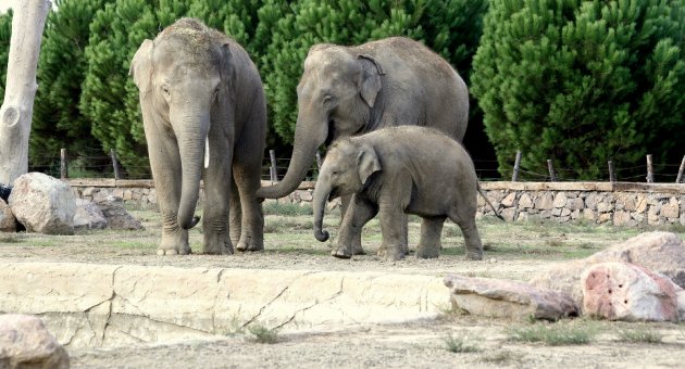 Büyükşehir Belediyesi’nden çocuklara “Bayram jesti”