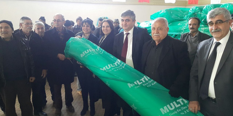 Büyükşehir Desteğiyle Çilek Kışın da Yetiştirilecek