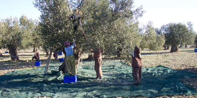 Büyükşehir Zeytinciye Destek Veriyor