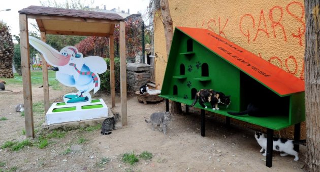 Can dostlar ‘ev’lendi