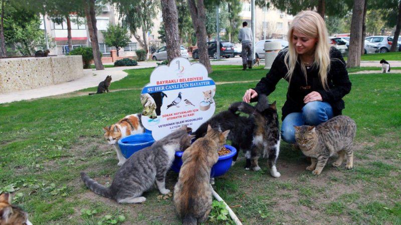 Can dostlarımızı unutmayın!