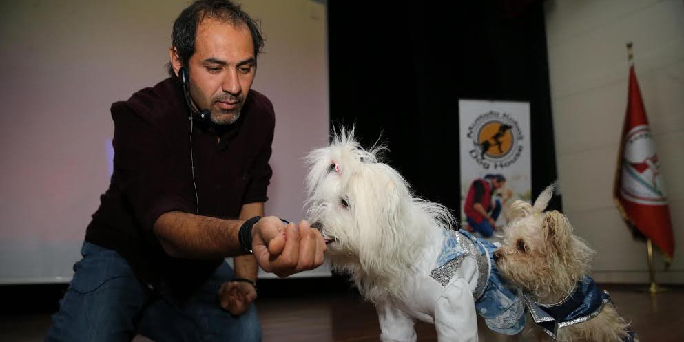 Can dostlarla yaşamın altın kuralları  