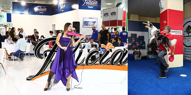 Canlı Müzik Eşliğinde Köpek Şovu!