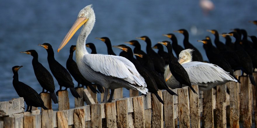 Cennet’i fotoğrafladılar