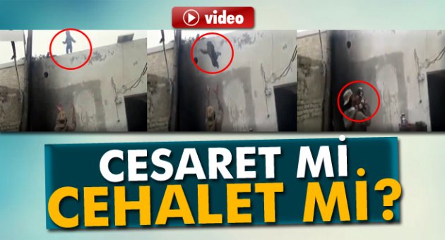 Cesaret mi cehalet mi?