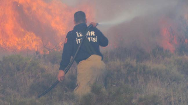 Çeşme'de 5 dönüm alan kül oldu