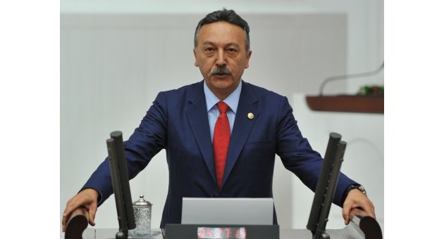 CHP'Lİ BAYIR'DAN, DOĞA KATLİAMINA TEPKİ