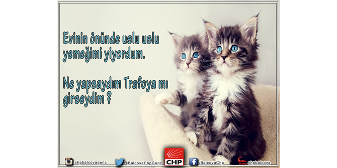 CHP Balçova'lı Gençler Can Dostlarımızın yanında