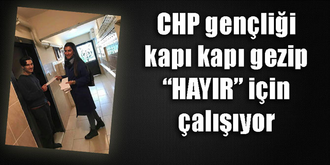 CHP gençliği, kapı kapı gezip Hayır için çalışıyor
