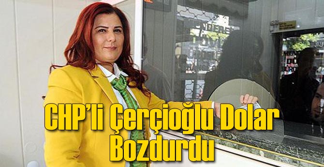 CHP'li Çerçioğlu Erdoğan'ın Dolar Çağrısına Uydu