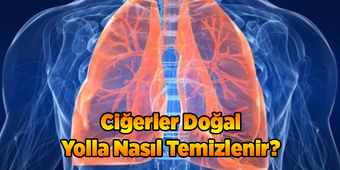 Ciğerler Doğal Yolla Nasıl Temizlenir?