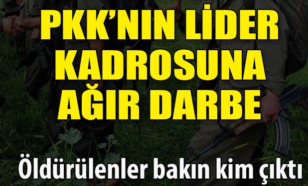 Çınar ve Sur'u kana bulayan teröristler öldürüldü