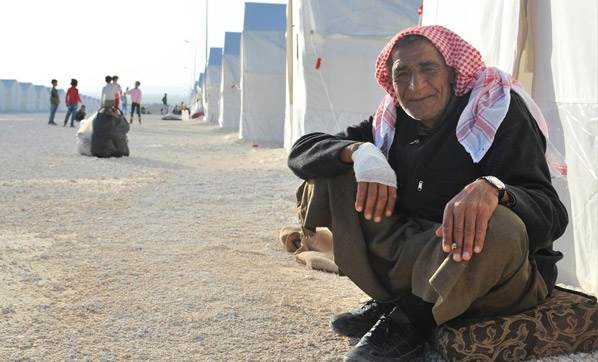 Cinsel gücü artırıyor diye mama yiyorlar