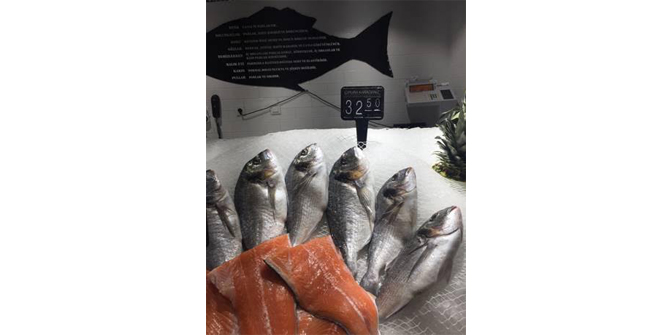 ÇİPURANIN VATANI DEĞİŞTİ!