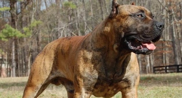 Çocuk parkında korkunç olay!