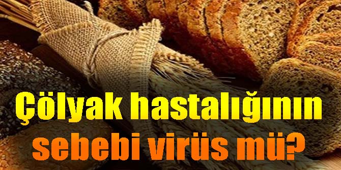 Çölyak hastalığının sebebi genetik mi virüs mü?