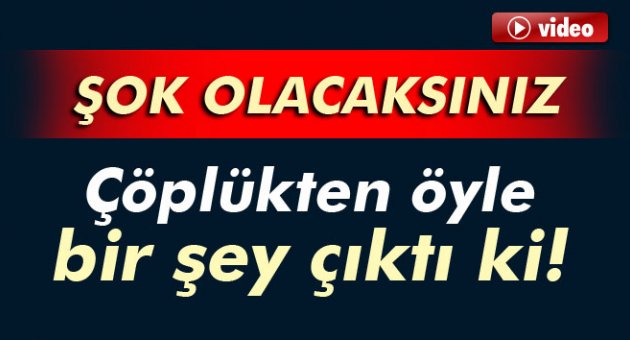 Çöplükten öyle bir şey çıktı ki!
