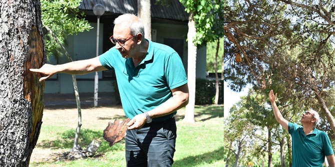 Daha sağlıklı bir Kültürpark için