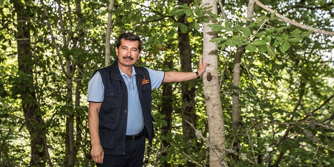 Demirci&#039;de doğa harikası kayın ağaçları