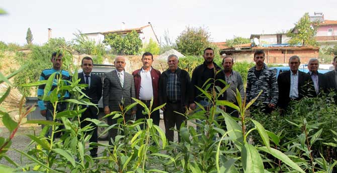 Demirci'de Üreticiye 700 Badem Fidanı