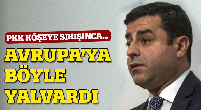Demirtaş: Almanya ve AB teşvik edici davranmalı