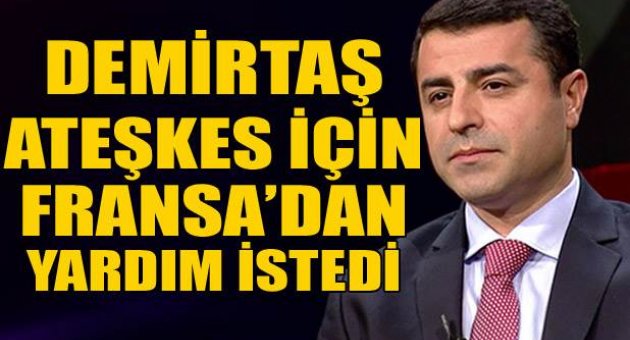Demirtaş ateşkes için Fransa'dan yardım istedi!