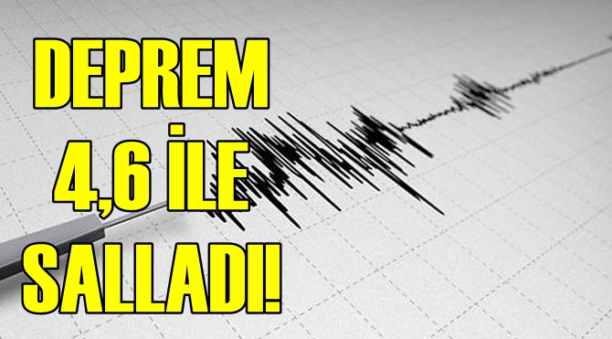 Deprem 4,6 ile salladı!