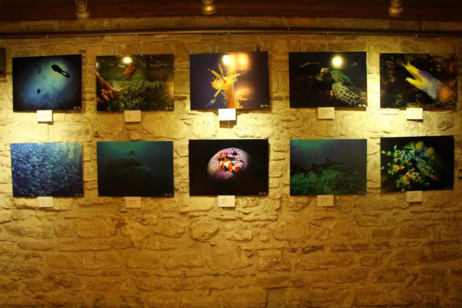 DERİN TUTKU” FOTOĞRAF SERGİSİ İBRAMAKİ’DE