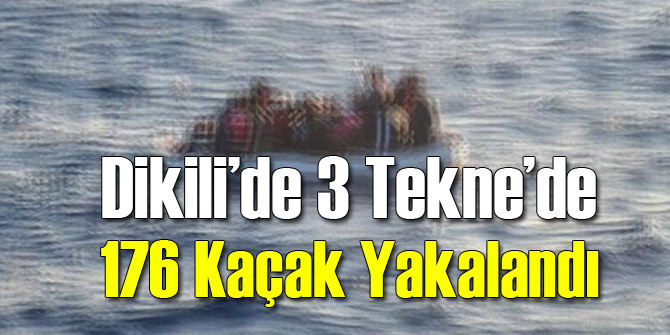 Dikili'de 176 Kaçak Yakalandı