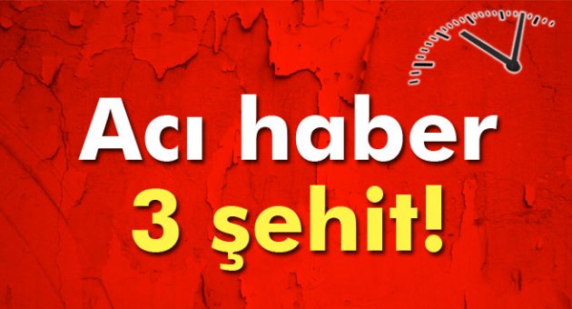 Diyarbakır'dan acı haber: 3 şehit!