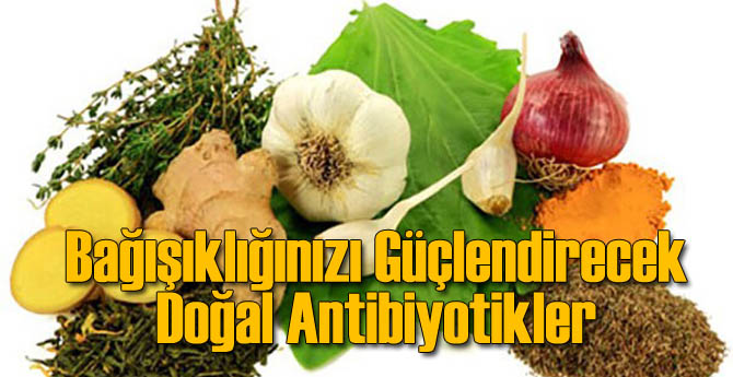 Doğal Antibiyotikler Bağışıklığı Güçlendiriyor