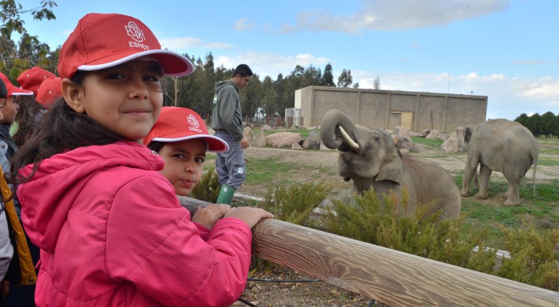 Doğal Yaşam’dan yeni rekor geldi