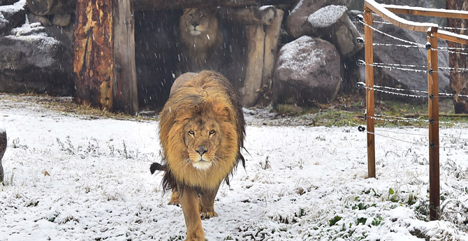 Doğal Yaşam’da Sıra Dışı Bir Gün