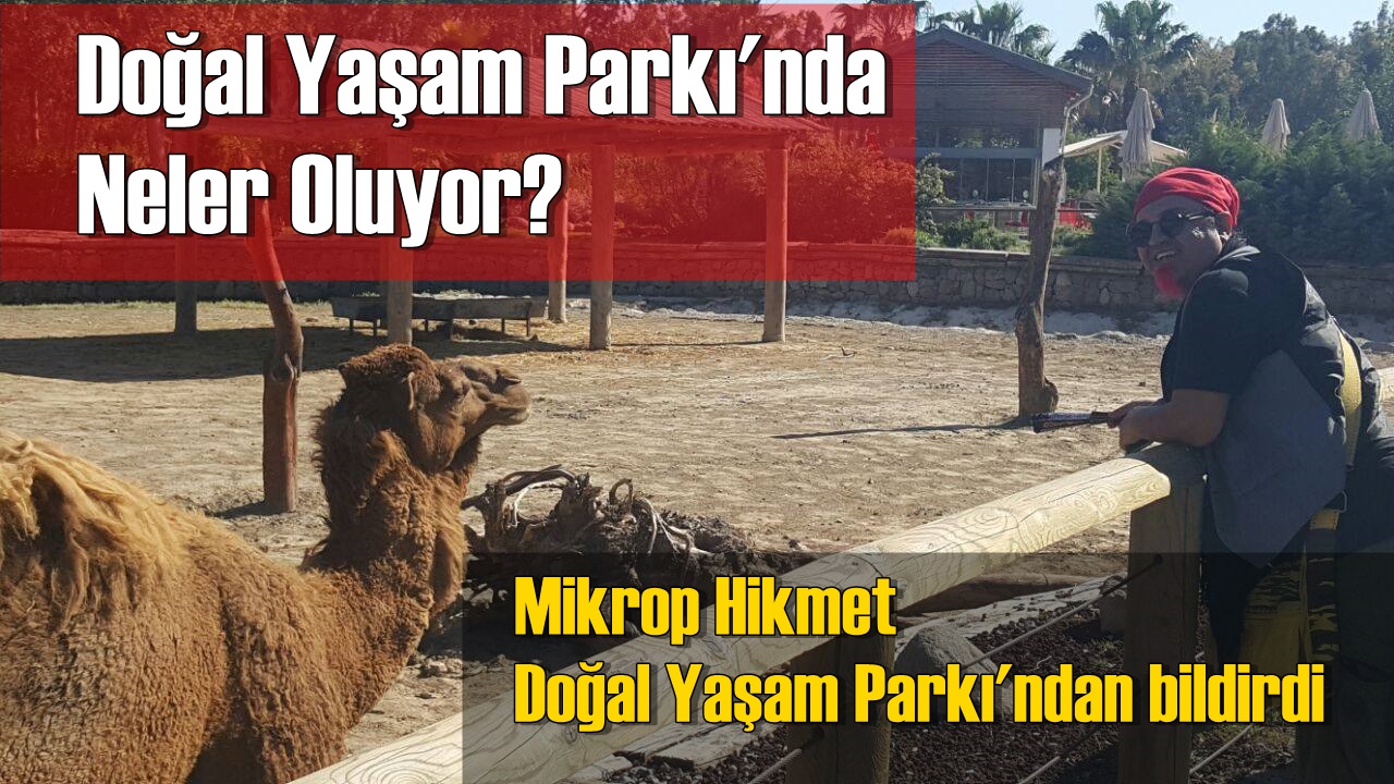 Doğal Yaşam Parkı'nda Neler Oluyor?
