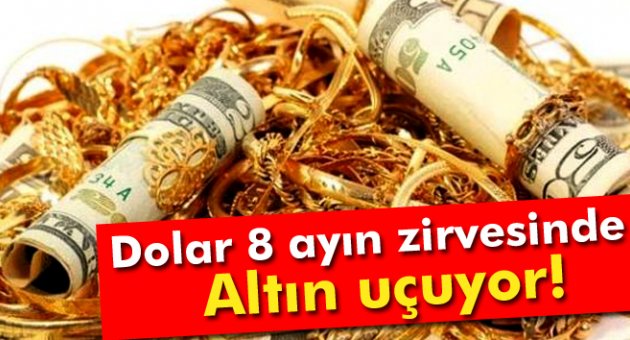 Dolar 8 ayın zirvesinde, altın uçuyor!