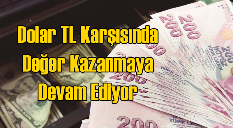 Dolar Türk Lirası Karşısında Güçlenmesini Sürdürüyor