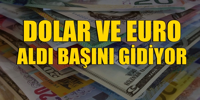 Dolar ve Euro aldı başını gidiyor