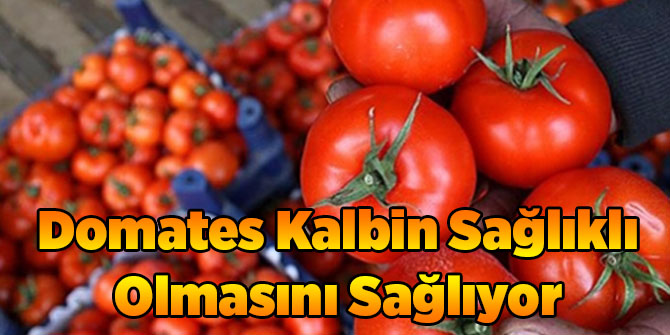Domates Kalbin Sağlıklı Olmasını Sağlıyor
