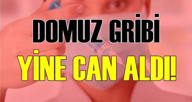 Domuz gribi yine can aldı!