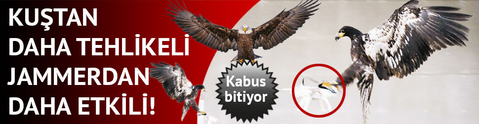 Drone’ları kartal avlayacak