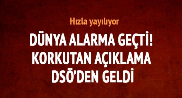 DSÖ, Zika virüsüyle ilgili acil durum ilan etti