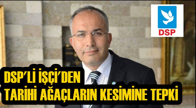 DSP'Lİ İŞÇİ'DEN TARİHİ AĞAÇLARIN KESİMİNE TEPKİ
