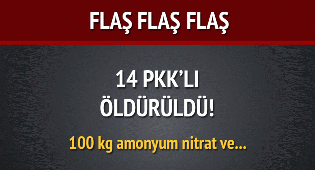 Dün 3 ilde 14 PKK'lı öldürüldü!