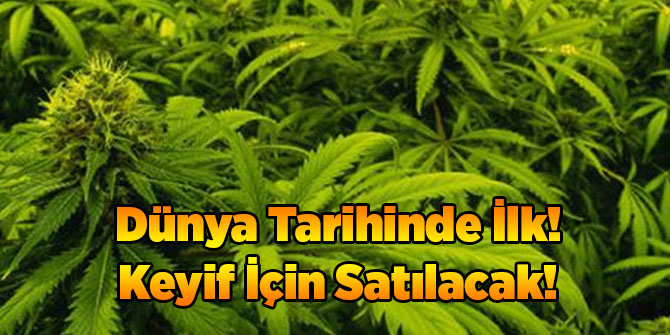Dünya Tarihinde İlk! Keyif İçin Satılacak!