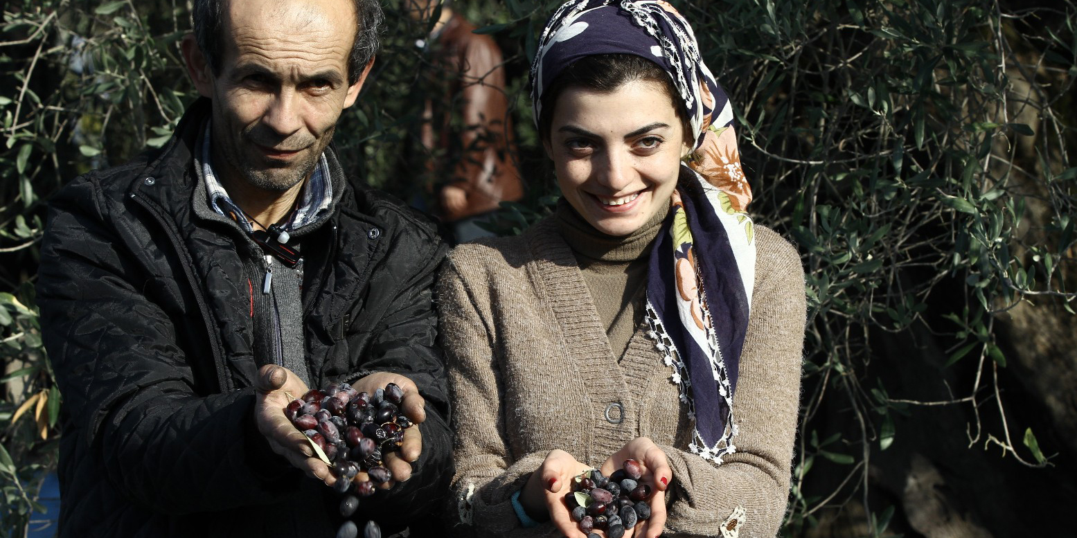 Dünya Zeytin Günü'ne prim damgası