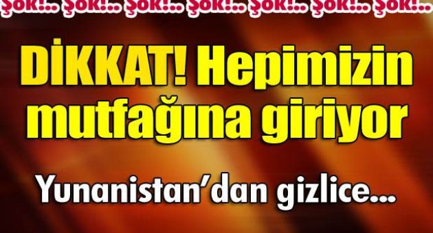 Edirnede 1 ton 310 kilo kaçak et ele geçirildi