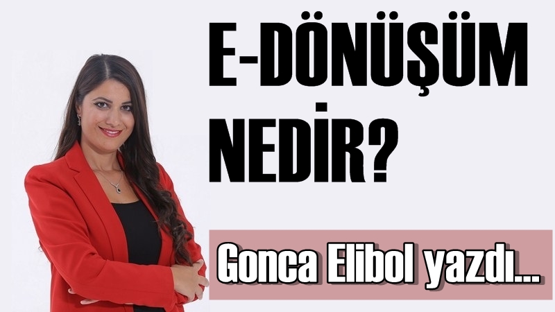 E - Dönüşüm Nedir?