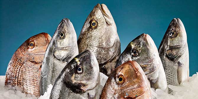 EİB İhracatı Mart Ayında Yüzde 10 Arttı