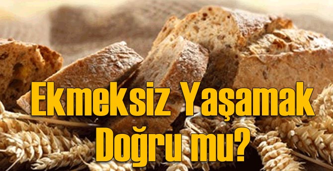 Ekmeksiz Yaşamak Doğru mu?