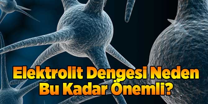 Elektrolit Dengesi Neden Bu Kadar Önemli?